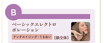 ベーシックエレクトロポレーション