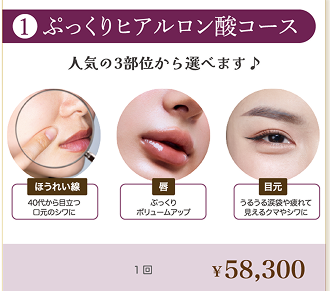 ぷっくりヒアルロン酸コース