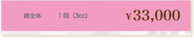 顔全体1回33,000円